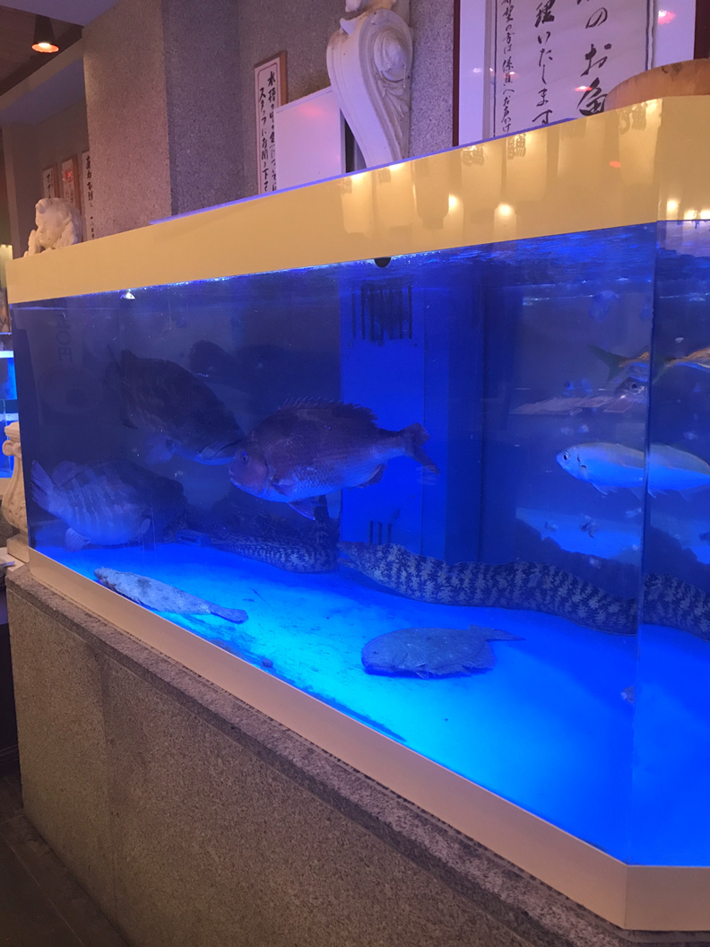 あけましておめでとうございます